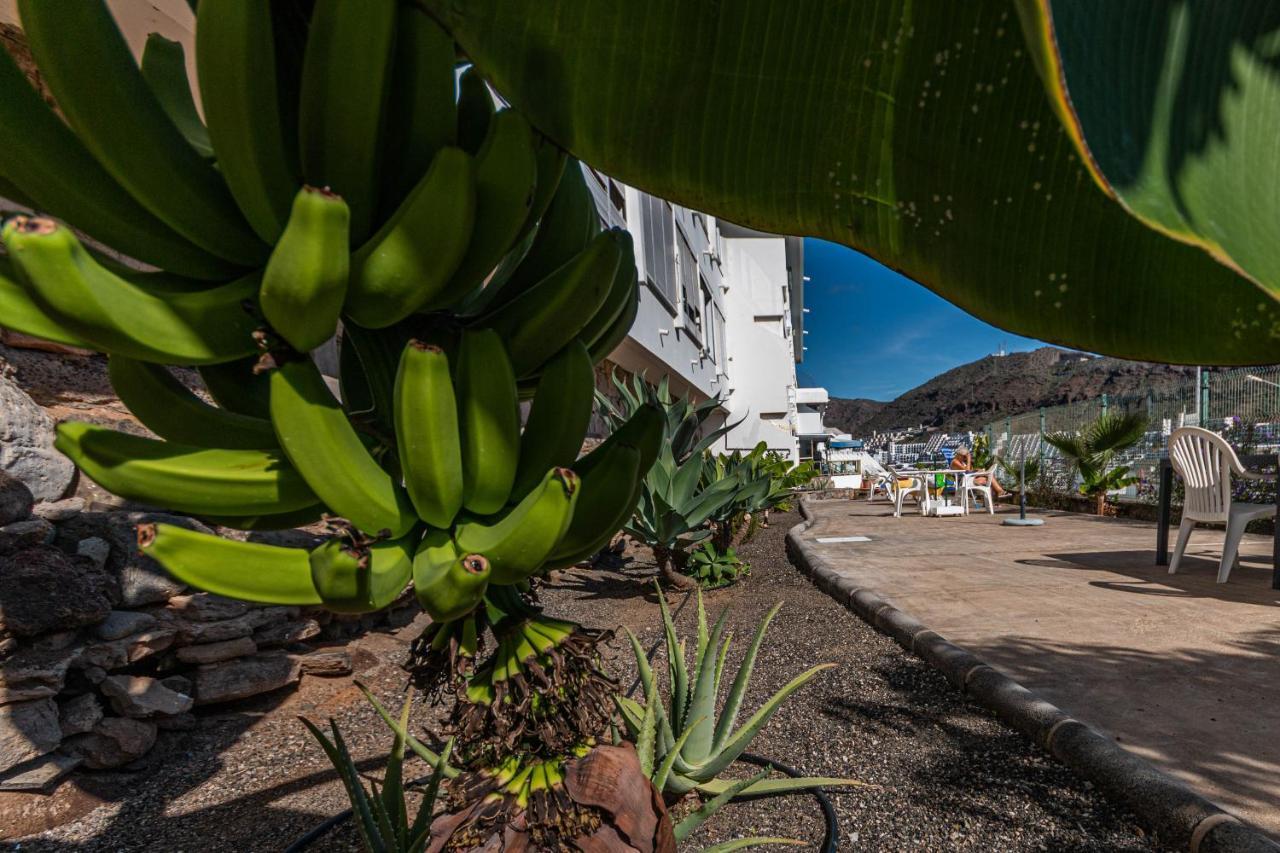 Puerto Rico Corner Apartment Luaran gambar